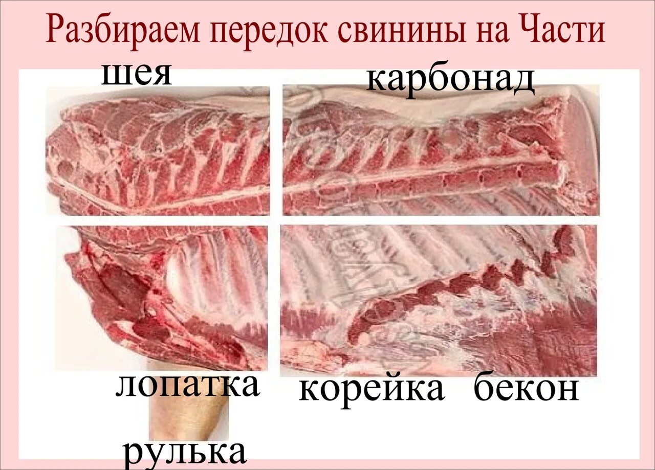 Части свинины. Как отличить свиной