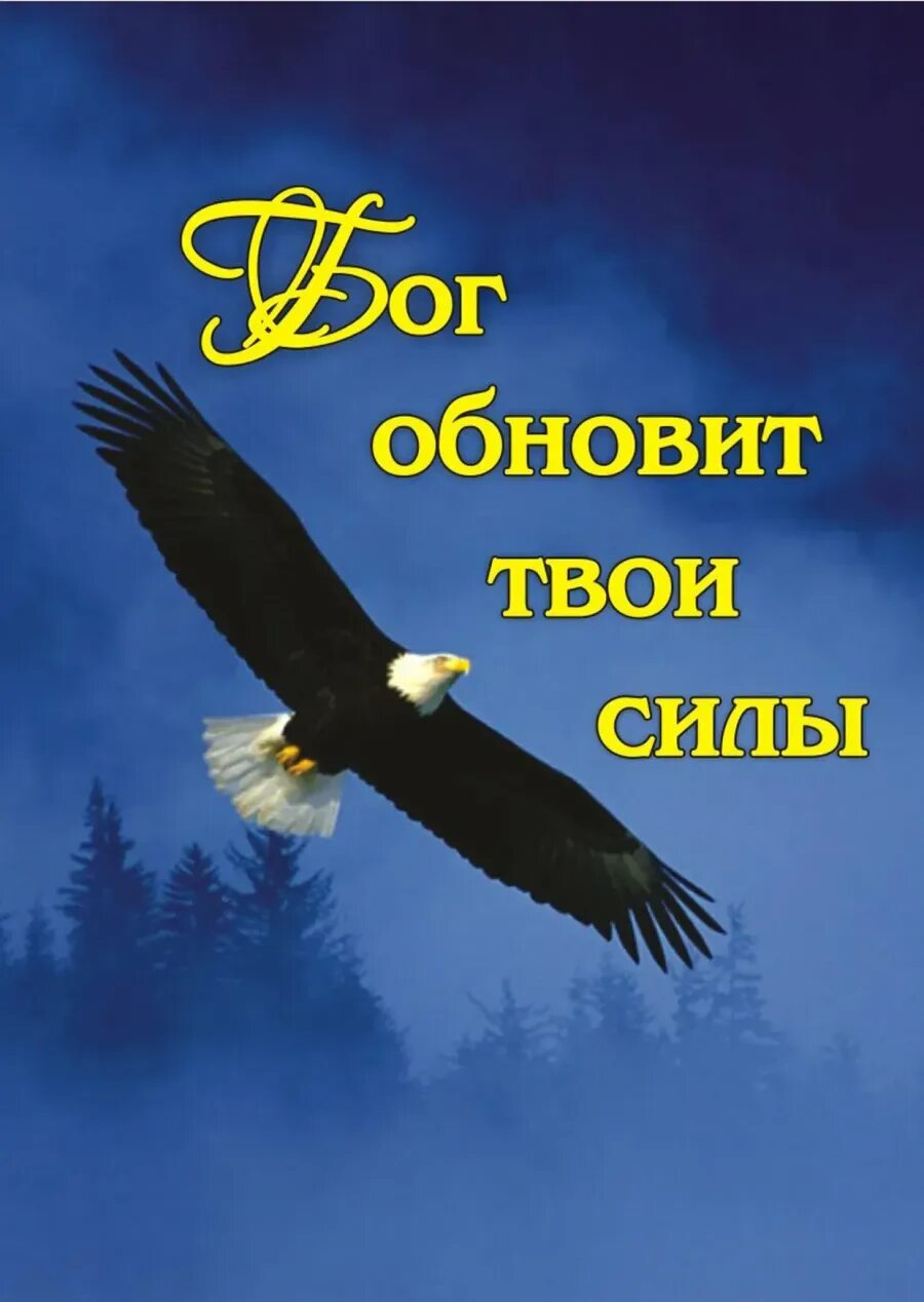 Бог поздравляет с днем рождения. Открытки с днём рождения мужчине христианину. С днём рождения христианские. Христианские открытки с днём рождения брату. Христианские открытки с юбилеем мужчине.