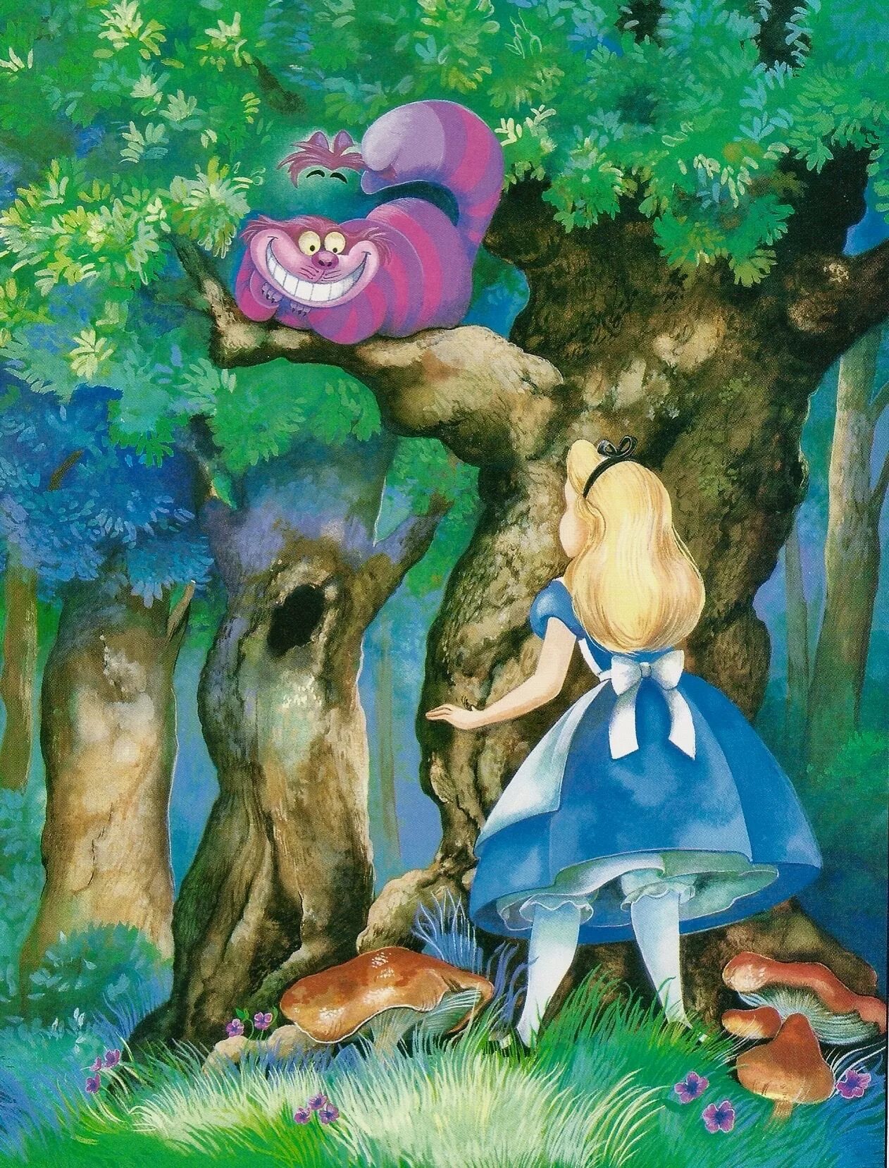 Алиса в стране чудес 1 сказка. Алиса в стране чудес сказка. Иллюстрация из сказки Алиса в стране чудес. Алиса в сказке Алиса в стране чудес. Алиса в стране чудес иллюстрации Дисней.