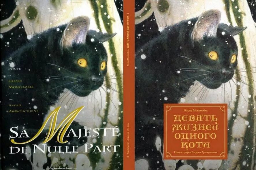 Девять жизни рассказ. Черный кот с книгой. Книги про кошек. Книги про чёрных котов. Книги о кошках Художественные.