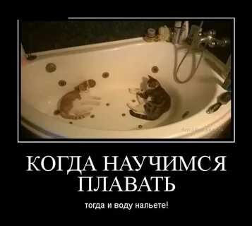 Налей тогда