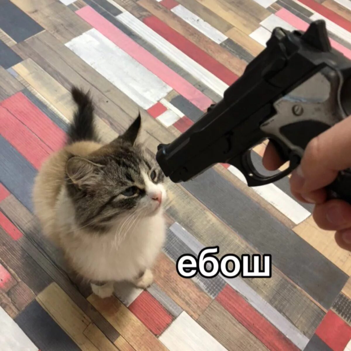 Котик с пистолетом. Кот стреляется. Кот с пистолетом Мем.