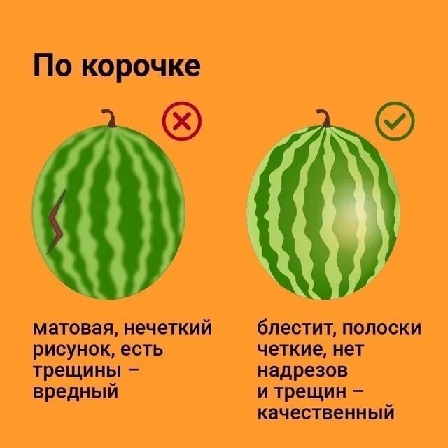 Как правильно есть арбуз до или. Как выбрать арбуз. как выбрать сладкий арбуз. как выбрать арбуз сладкий и вкусный. как выбрать вкусный спелый арбуз.