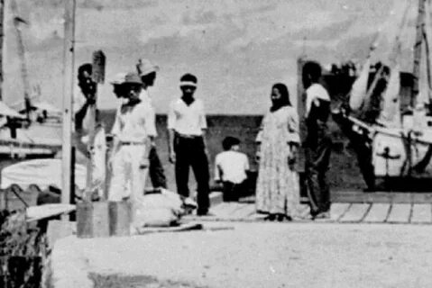 I'm Gonna Be So Pissed If These Giant Crabs Ate Amelia Earhart.