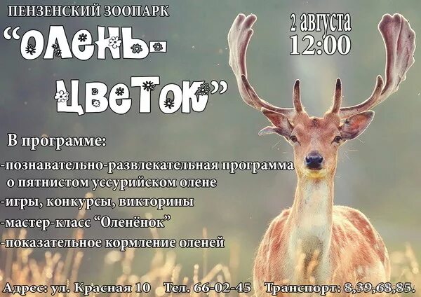 приложение с оленем