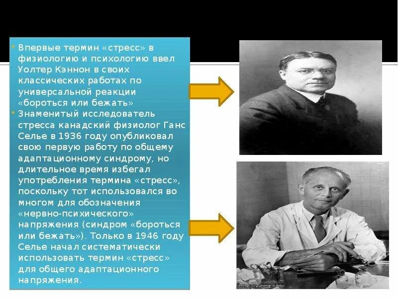 Автор термина психология. Кто ввел понятие стресс. Психология это с автором определения. Понятие стресса в психологии. Автор термина психология.