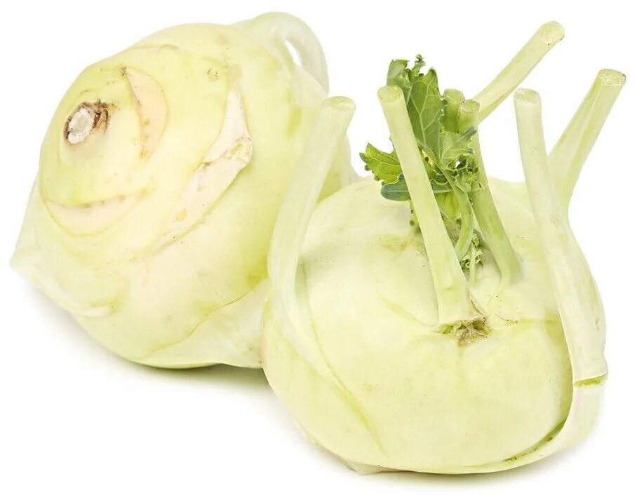 капуста кольраби венская белая. кольраби отзывы. кольраби отзывы. капуста сорт гигант кольраби. капуста кольраби красная.