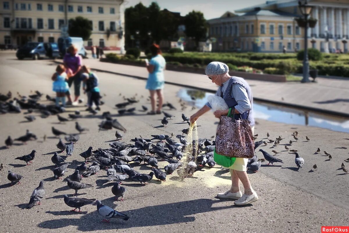 И старушки крошат хлебный мякиш сизым голубям. День такой хороший и старушки крошат хлебный мякиш сизым голубям. И старушки крошат хлебный мякиш сизым голубям. День такой хороший и старушки крошат хлебный мякиш сизым голубям. И старушки крошат хлебный мякиш сизым голубям.