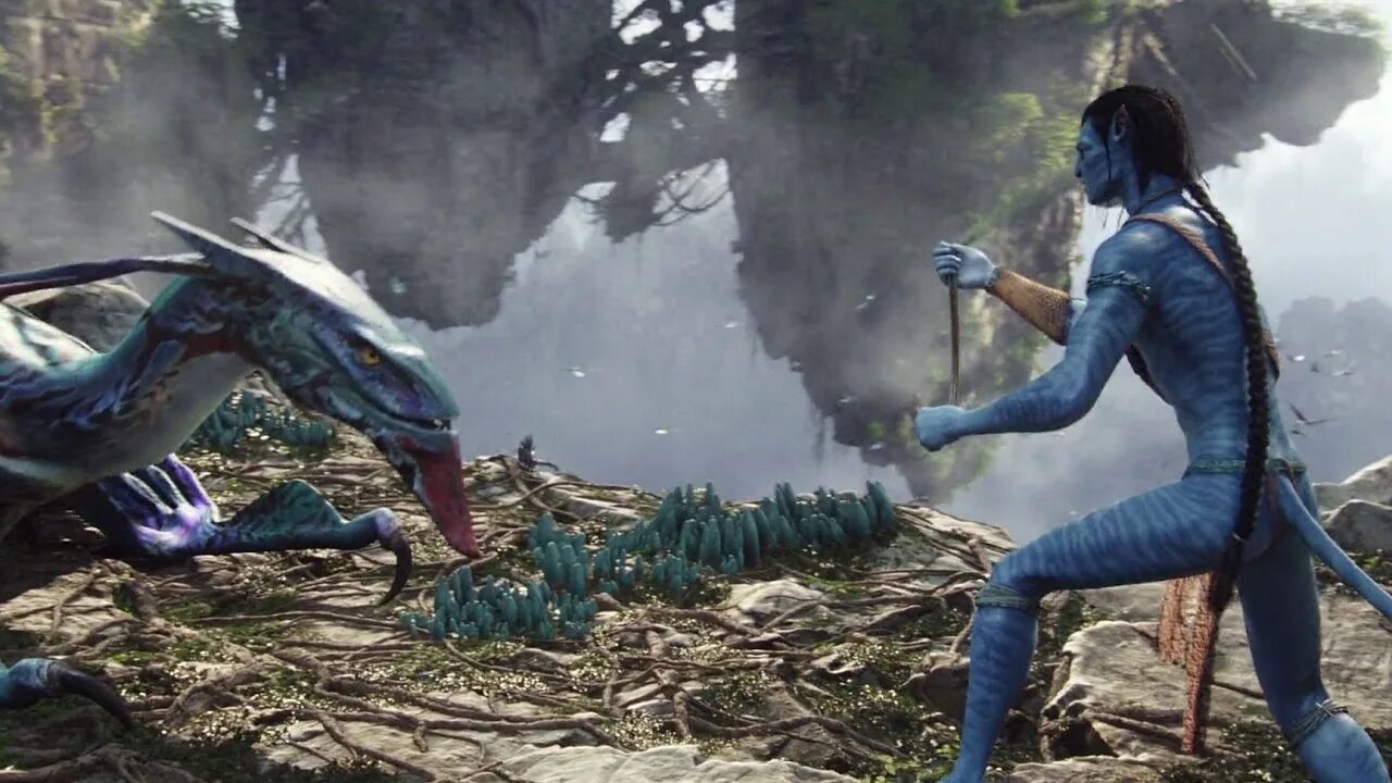 Avatar fighting