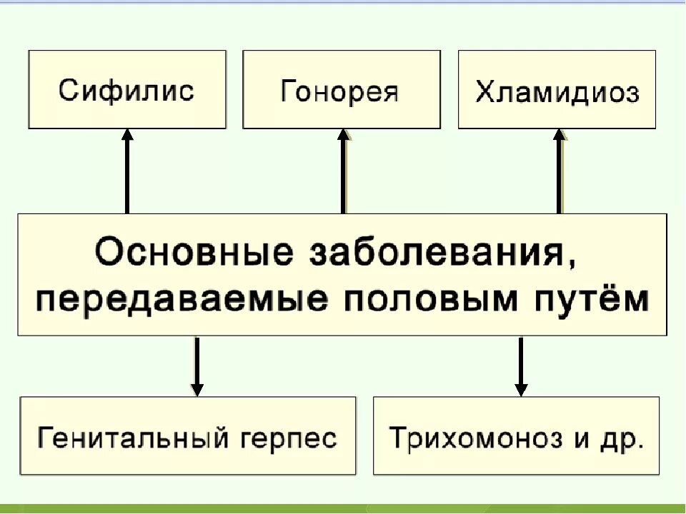 Основные инфекции передающиеся половымпутем. Заболевания передаваемые половым путем. Основные инфекции передающиеся половым путем. Основные заболевания передаваемые пол путем. Основные заболевания половым путем