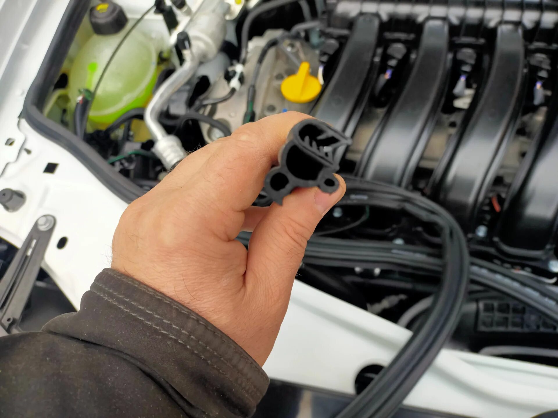 Уплотнитель капота дастер. Уплотнитель капота рено дастер 2025. 7711821488 renault уплотнитель капота duster. уплотнитель рено дастер. уплотнительная резинка капота дастер.