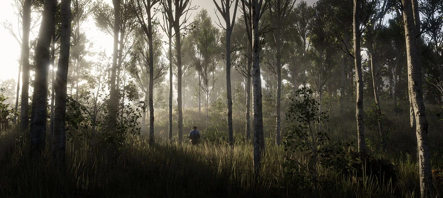 Red dead redemption 2 directx