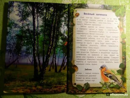 О змеях и певчих птицах читать