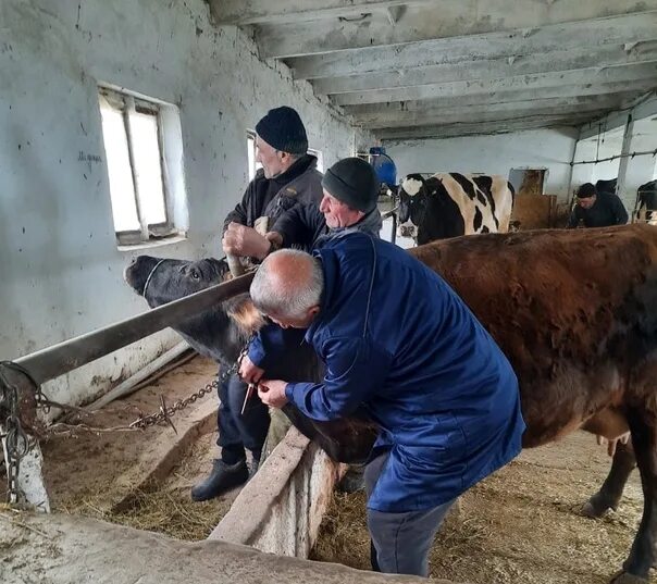 Нтц крс