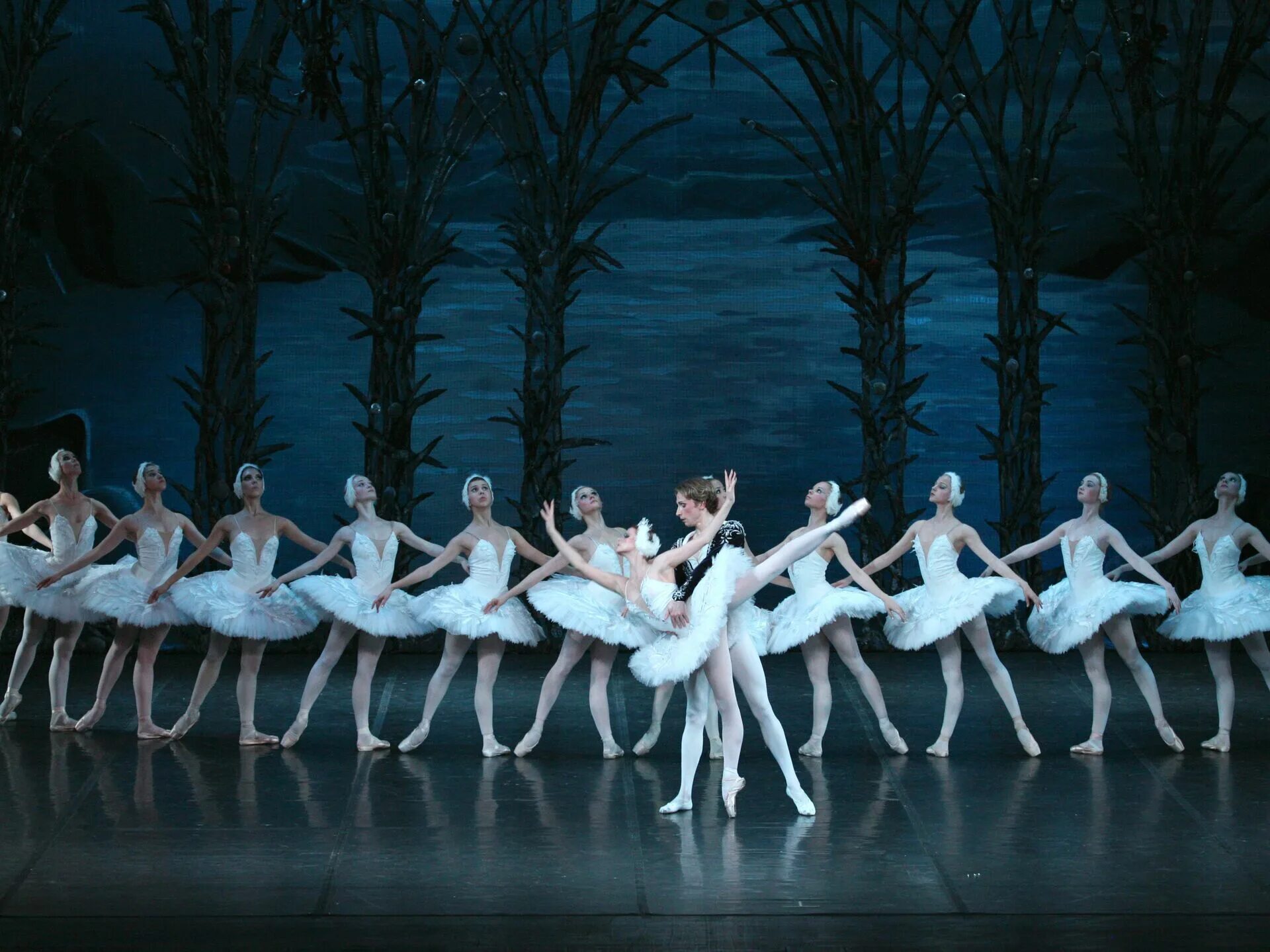 лебединое озеро в каком году