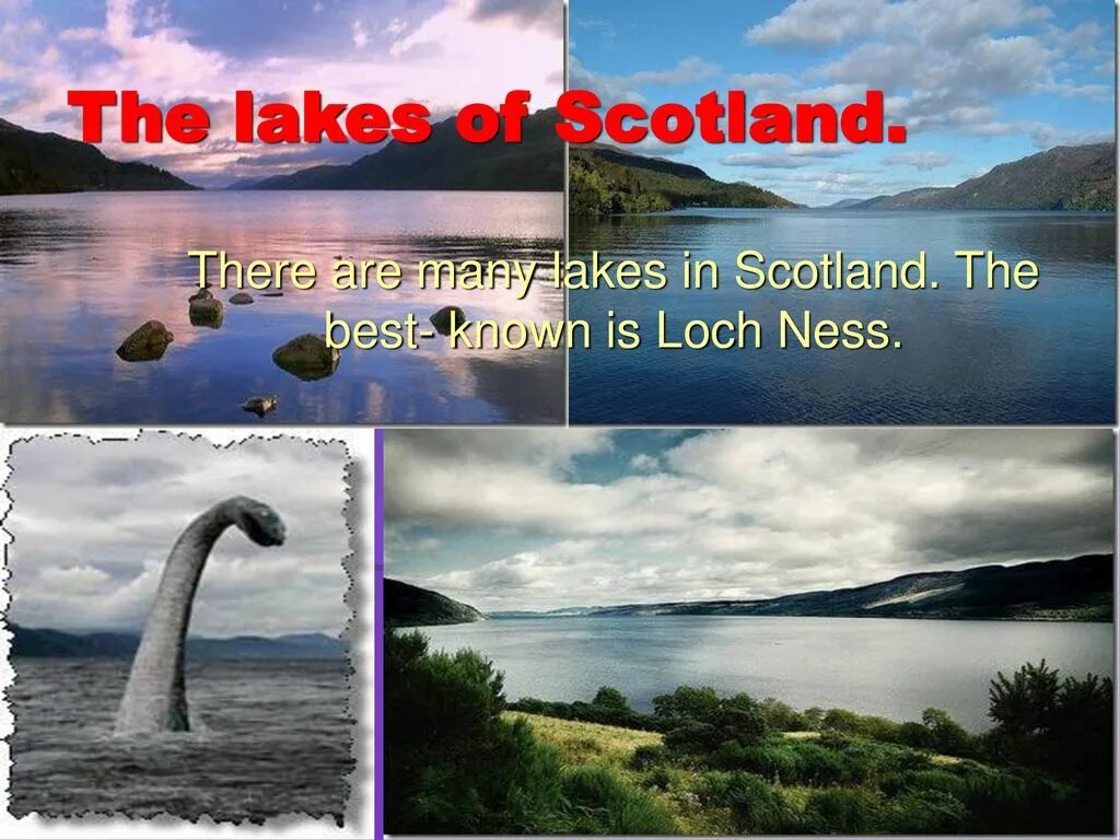 There are many in scotland