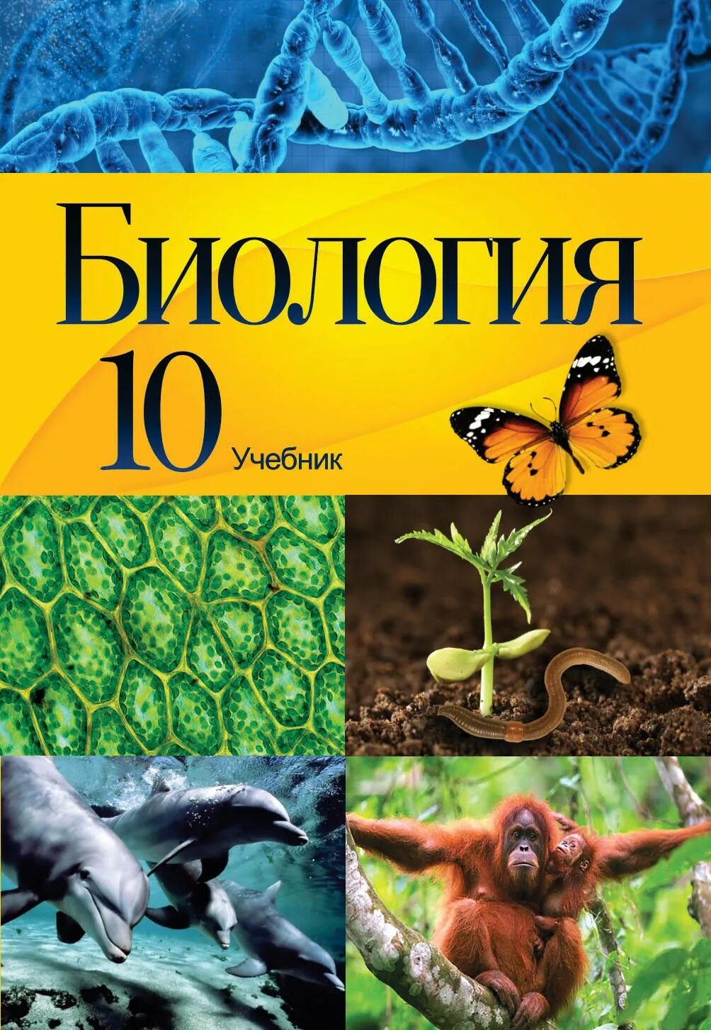 Биология 9 класс 2017. Биология. Биология учебник. Биология книга. Школьные учебники биологии.