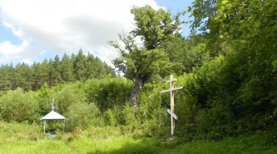 Иоанно богословский монастырь купель. Источник преподобного сергия радонежского гремячий ключ. Источник матушки александры в дивеево. Давидова пустынь купель. Святой источник исцеление.