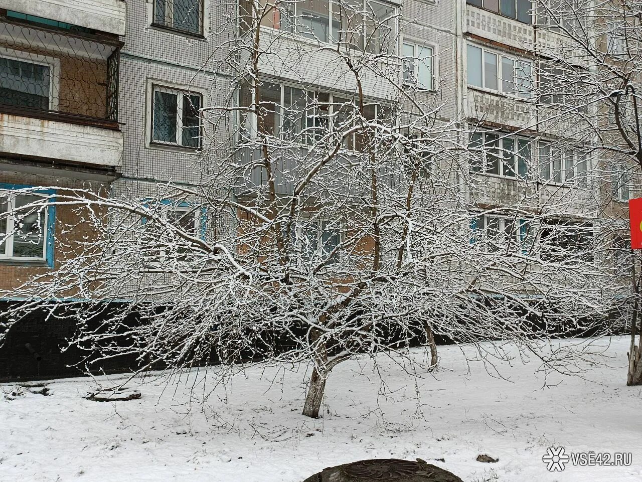 Снегопад в городе. Снег в городе. Заснеженный город. Снег в апреле.