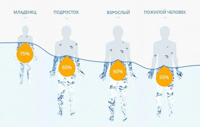 Вода 1 2 3. Вода в теле человека. Вода и человек. Вода в организме человека занимает. Соотношение воды в человеке.