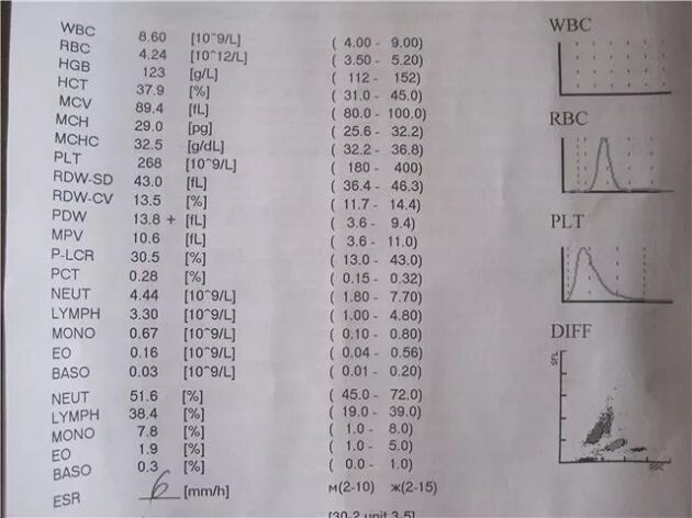 Hgb норма у мужчин. P-LCC В анализе крови что это такое. Показатель крови PDW. PLCC В анализе крови норма. PDW В анализе крови норма для женщин.