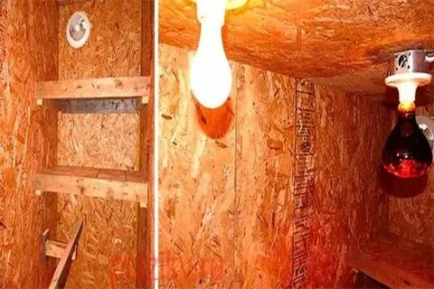 Как сделать свет в курятнике
