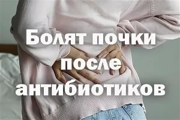 Болит почка беременность неделя. Болят почки после антибиотиков. После антибиотикиболят почки. Болят посем после антибиотиков.