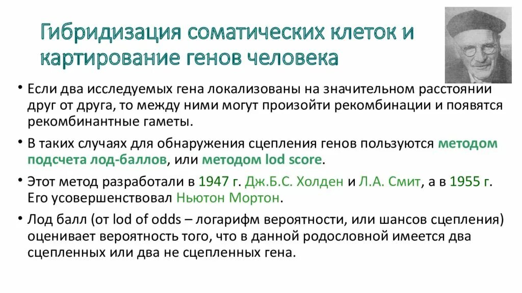 Метод соматической гибридизации. Метод гибридизации соматических клеток. Метод гибридизации соматических клеток человека. Гибридизация соматических клето.