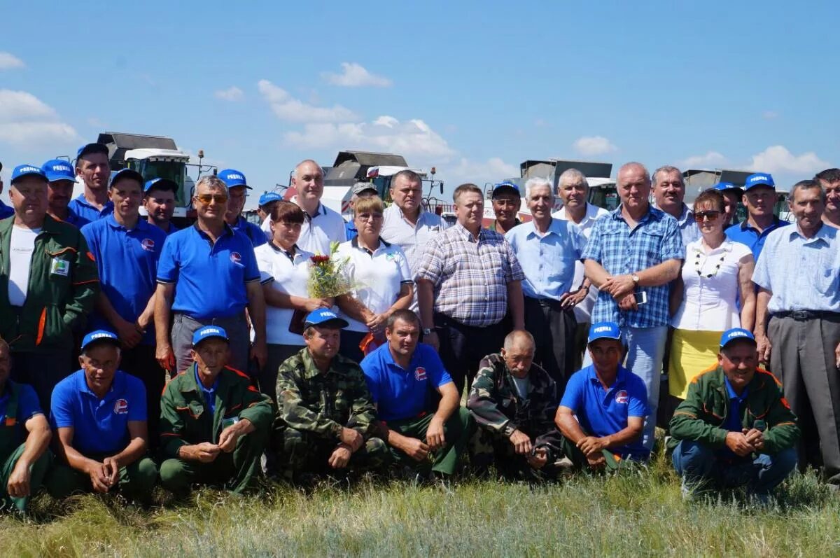 ООО Родина Перелюбский район. ООО Родина Перелюбский район Саратовская область. Посёлок Октябрьский Саратовская область Перелюбский район. Село Грачев куст Перелюбского района. Погода х тараховка перелюбский район саратовская