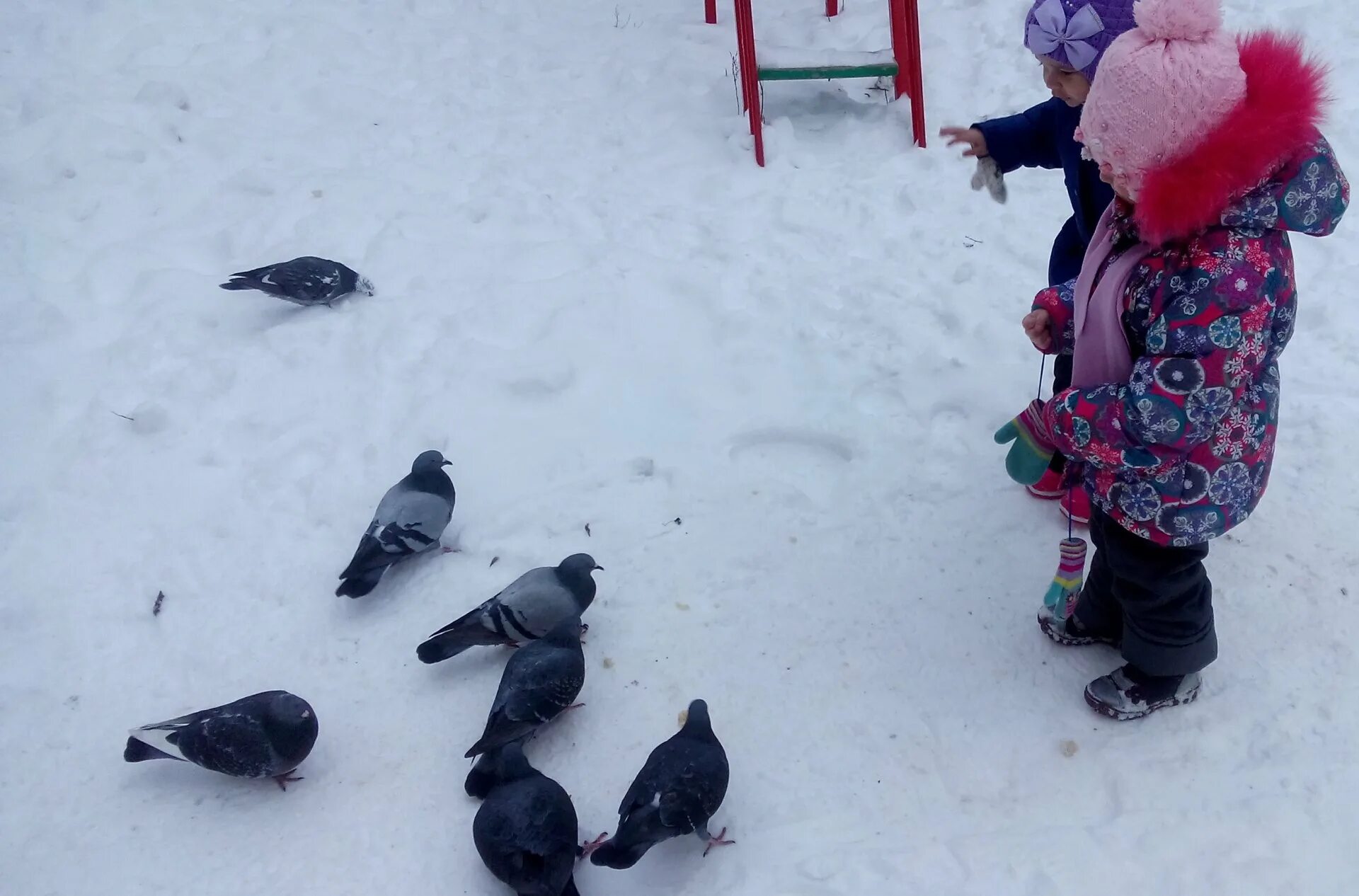 Как заботиться о птицах. Забота о птицах. Дети кормят птиц зимой. Дети заботятся о птицах. Забота о птицах в зимний период.