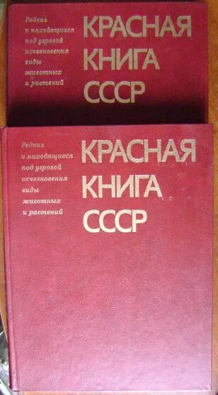 Красная книга 2 тома. Красная книга 2 тома. Красная книга 2 тома. Красная книга 2 тома. Красная книга 2 тома.