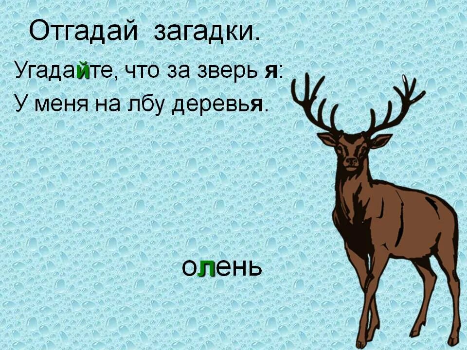 Существительное к слову олень. Загадка про оленя. Загадка про оленя для детей. Загадка о олене. Загадка об олене для детей.