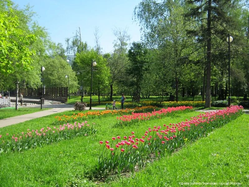 Лианозово вднх. Лианозово (парк культуры и отдыха). Парк Лианозово Окутин. Парк Лианозово весной. Лианозовский парк цветы.