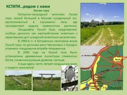 Дача на лысой горе