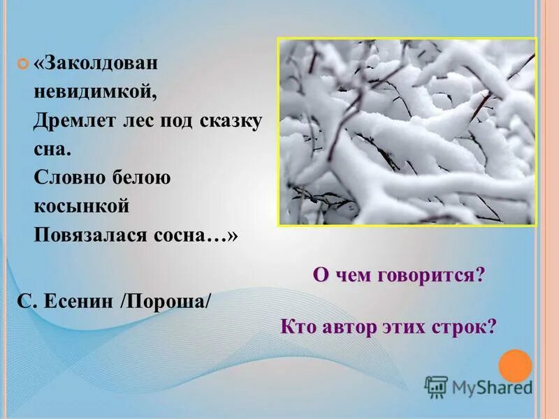 заколдован невидимкой дремлет