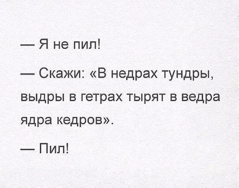 Выдра в тундре тырит ядра. Выдра в тундре скороговорка. Скороговорка про выдру. Скороговорка про выдру в гетрах. Стих про выдру в гетрах.