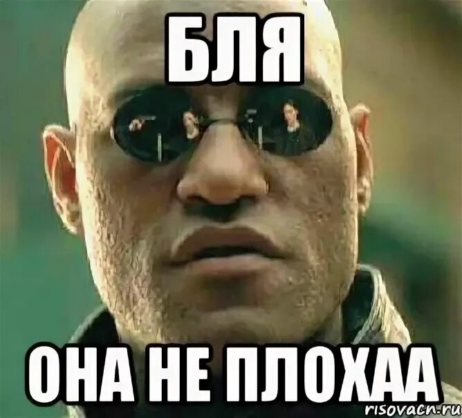 Будь мужиком мем. Будь мужиком блять мем. Блеать женщина. Тупые мемы. День влюбленных мемы.