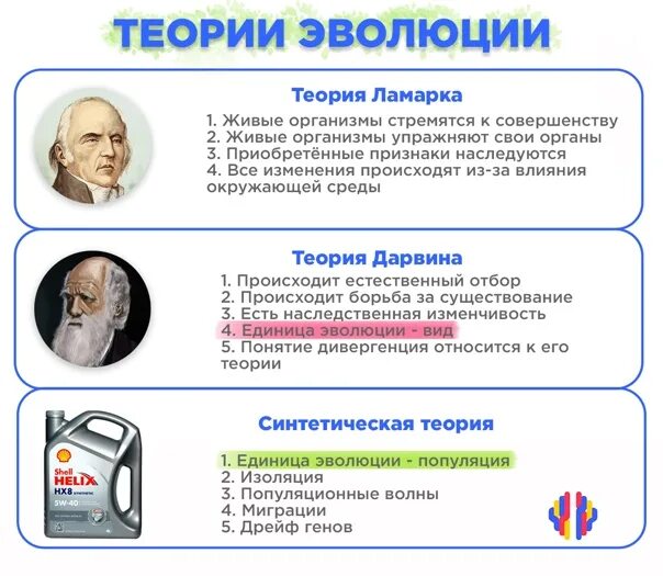 Синтетическая теория эволюции и теория Дарвина. Эволюционная теория и синтетическая теория сравнение. Синтетическая теория эволюции и теория Дарвина сравнение. Сравнение теории ч Дарвина и синтетической теории эволюции.