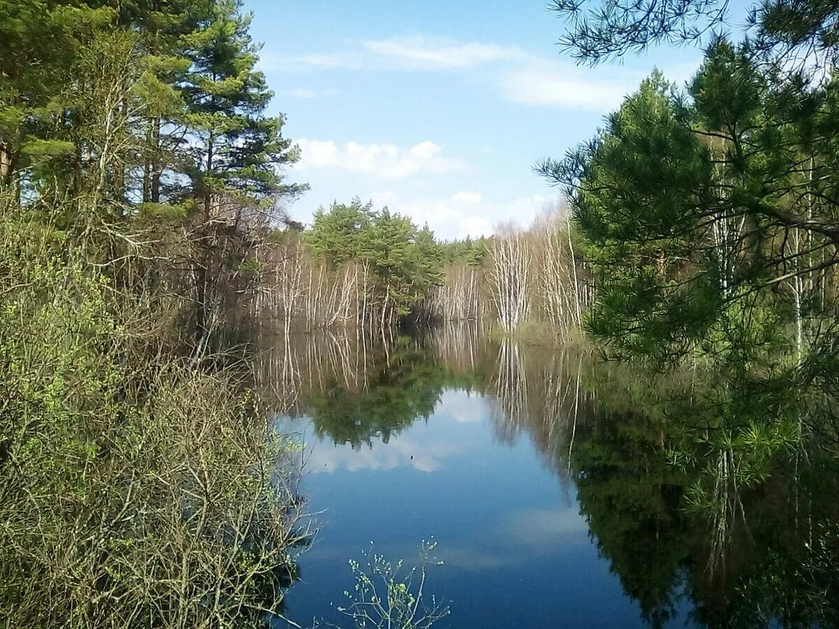 Мещера клепики. Национальный парк мещера озера. национальный парк мещера гусь-хрустальный. мещёрский национальный парк рязанской области. заповедник мещера владимирская область.