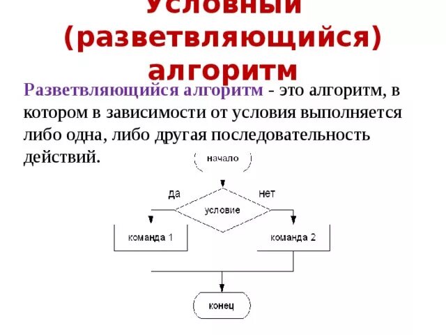 Циклические алгоритмы ветвление. Условный алгоритм примеры. Блок схема разветвляющегося алгоритма. Разветвляющийся алгоритм это в информатике. Линейный разветвляющийся и циклический алгоритмы.