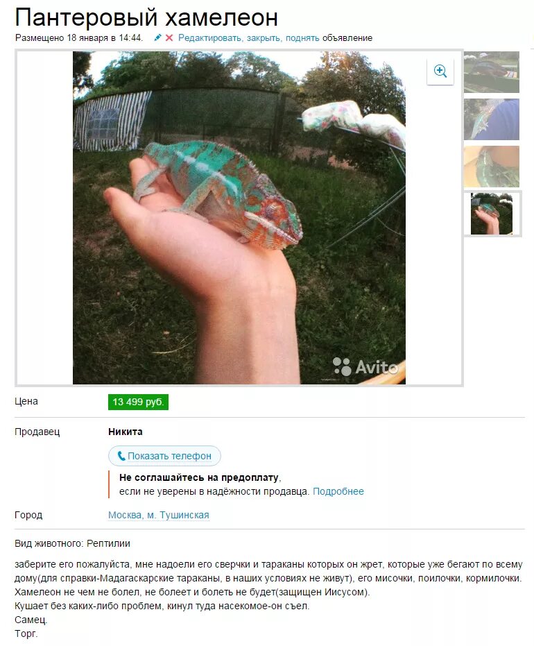 запомни одно не забывают о вас никогда либо любящие либо ненавидящие. мемы про raspberry pi. либо соглашаются либо не соглашаются. письмо предложение оферта. мемы с подписями.