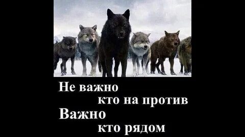 Тот кто напротив 6 букв