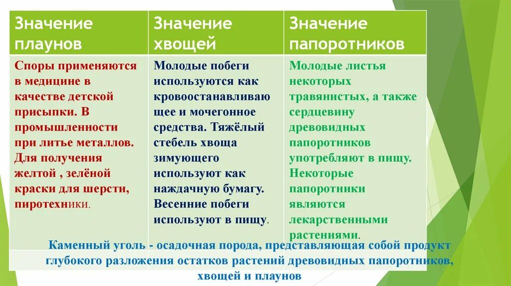 Признаки различий между плаунами и хвощами. Значение папоротников хвощей и плаунов. Значение хвощей и плаунов. Таблица хвощи плауны и папоротники таблица. Папоротники хвощи плауны значение.