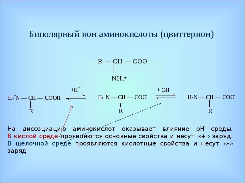 Влияние PH на заряд аминокислот. Диссоциация аминокислот. Схемы диссоциации аминокислот.