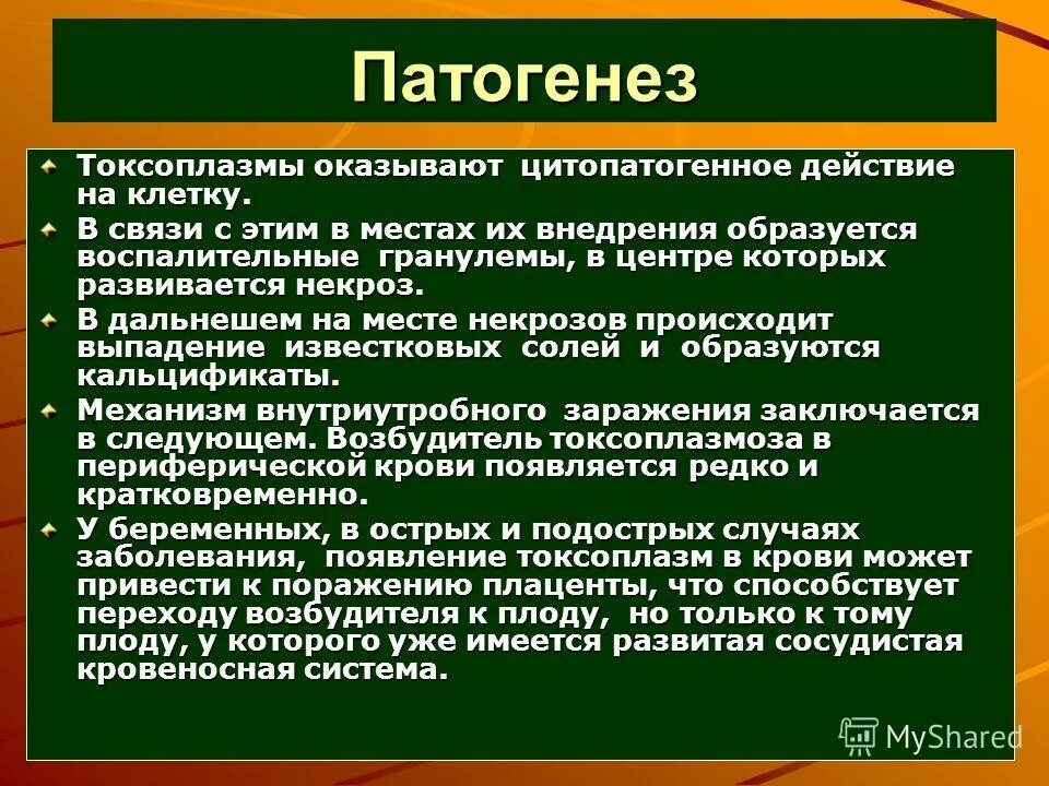 центр токсоплазмоза