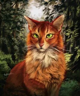 Warrior Cats Wiki Firestar