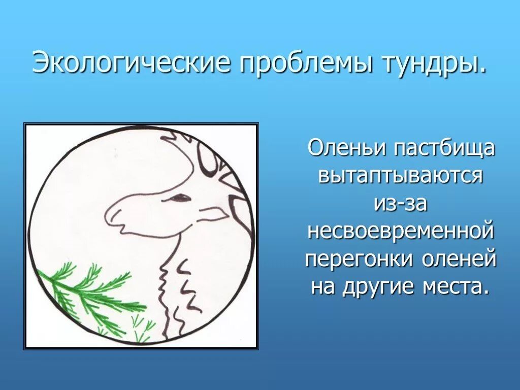 Проблемы тундры в россии. Экологические проблемы тундры. Эколог проблемы тундры. Экологические проблемы тундры 4. Проблемы экологии в тундре.