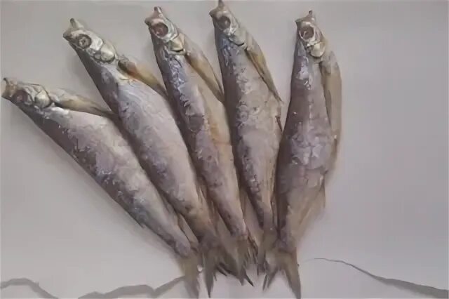 Рыба в йошкар оле. Сазан. Рыба в йошкар оле. Гальян рыбка йошкар ола. Ярмарка камчатской рыбы в йошкар-оле.