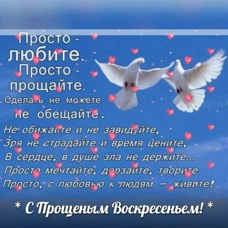 Просто прощения. Просто любите просто прощайте. просто любите просто прощайте стихи. просто хорошему человеку. хорошие добрые слова.