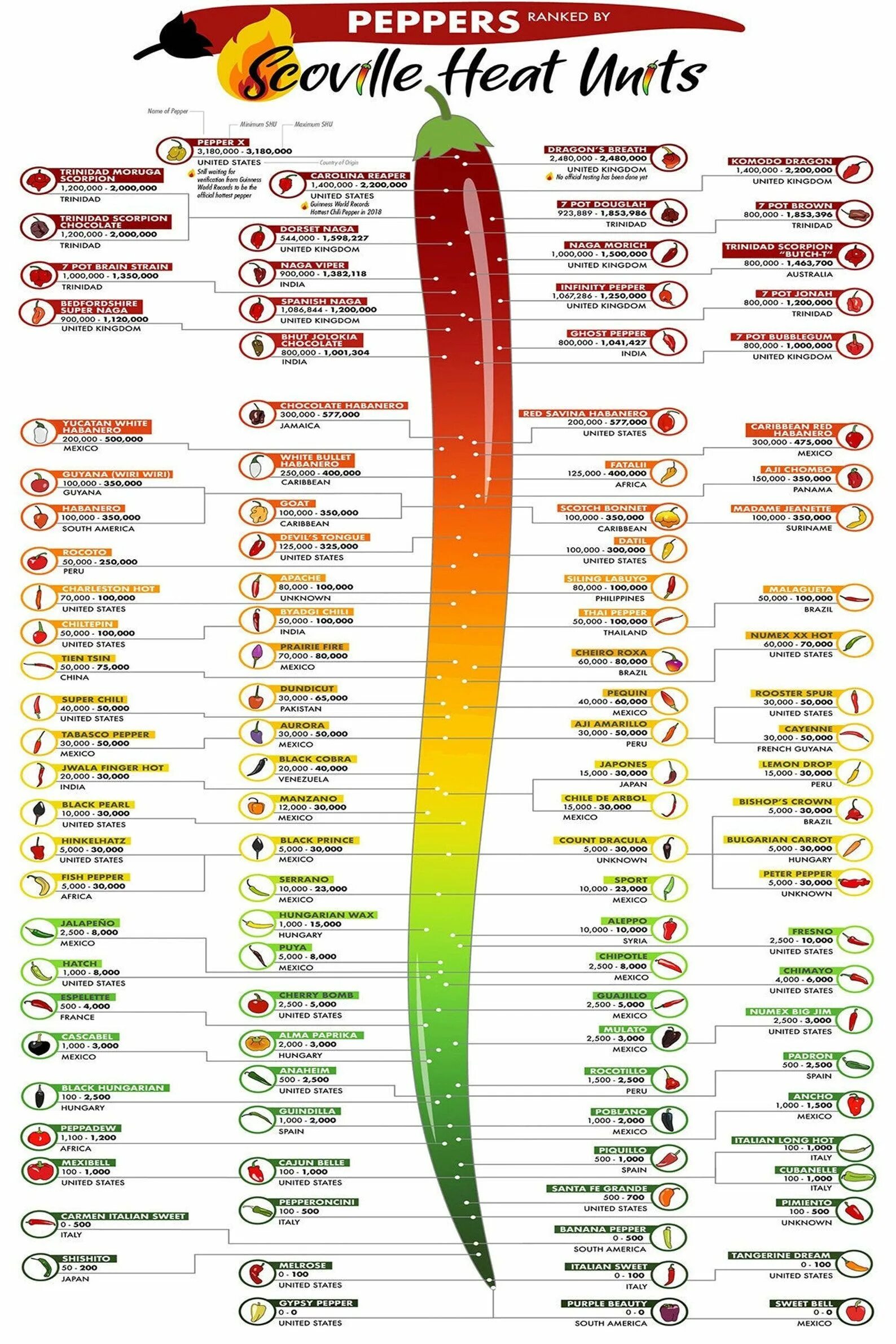 Самое острое сколько сковиллей. Перец халапеньо шкала Сковилла. Халапеньо по шкале Сковилла. Шкала Сковилла перец Чили. Черный перец шкала Сковилла.